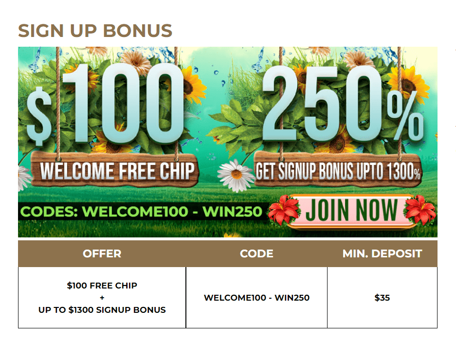 Hallmark Casino $100 Free Chip + 250% up to $1300