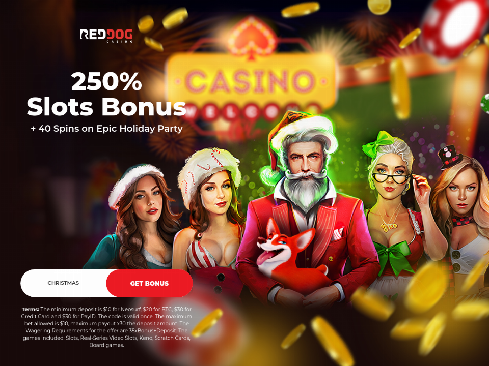 red-dog-casino-holiday-season-250-match-plus-40-free-spins-on-epic-holiday-party-special-welcome-deal.png